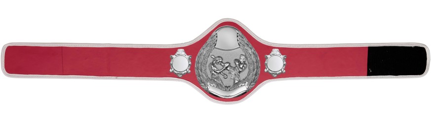 THAI BOXING CHAMPIONSHIP BELT-PRO301/S/TBOS- 10 + COLOURS THAI BOXING CHAMPIONSHIP BELT-PRO301/S/TBOS- 10 + COLOURS